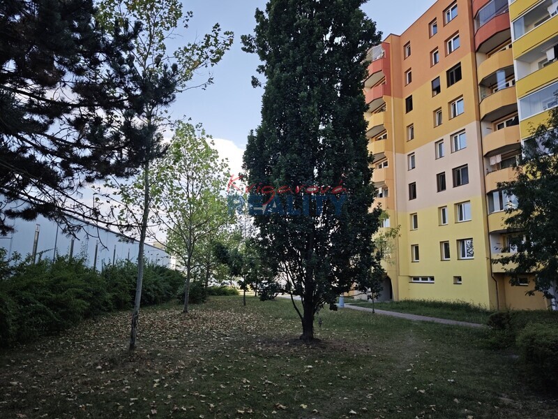 dům